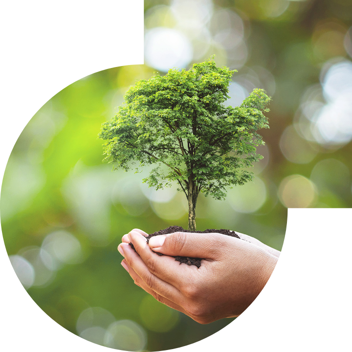 关怀人类、文化、环境与社会